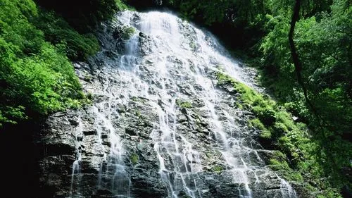 高端智能系统